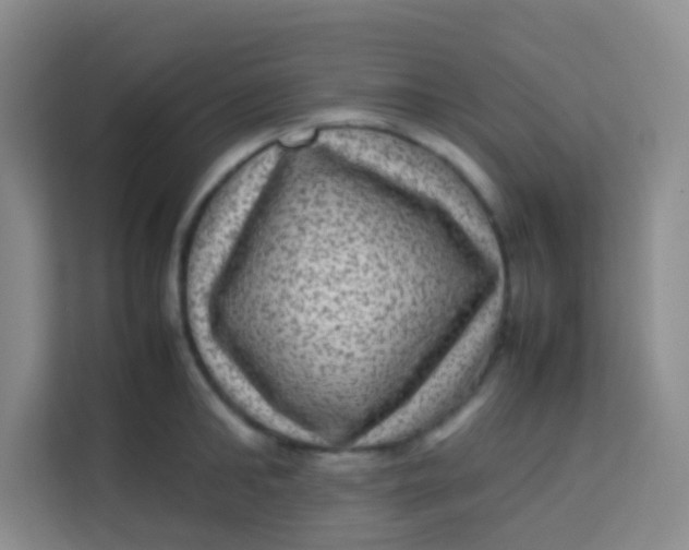 X0000113640902200910091534