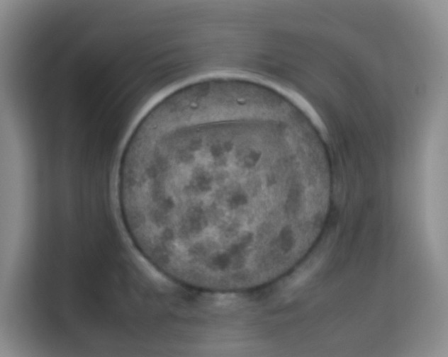 X0000113640903200910091534