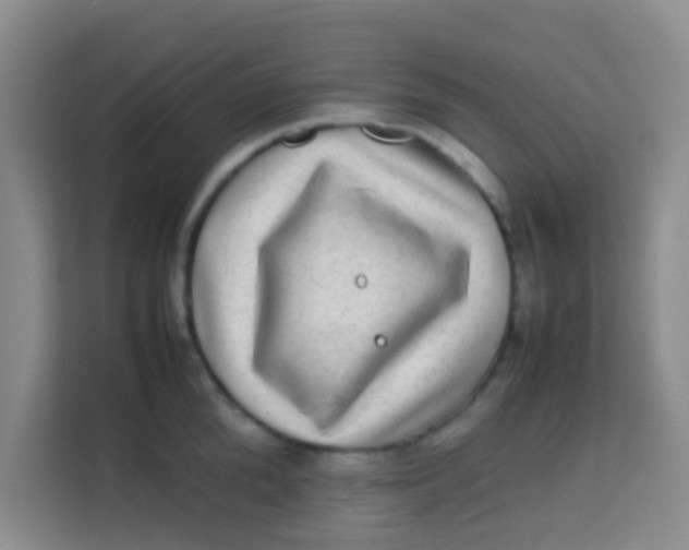 X0000113640904200910091534