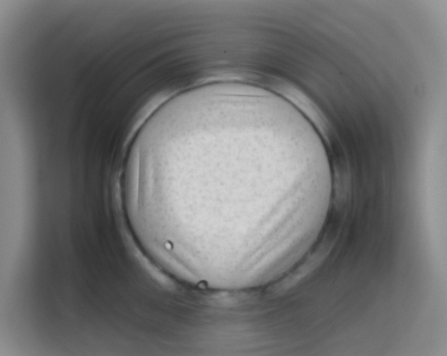 X0000113640906200910091534