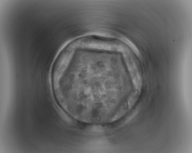 X0000113640907200910091534