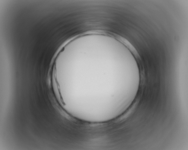 X0000113640908200910091534