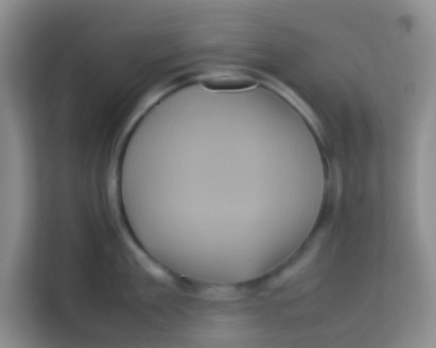 X0000113640909200910091534