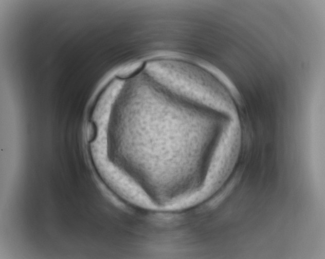 X0000113640910200910091534