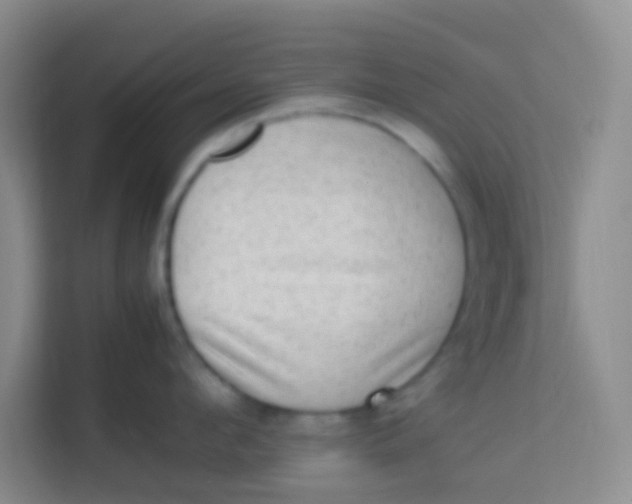 X0000113640912200910091534