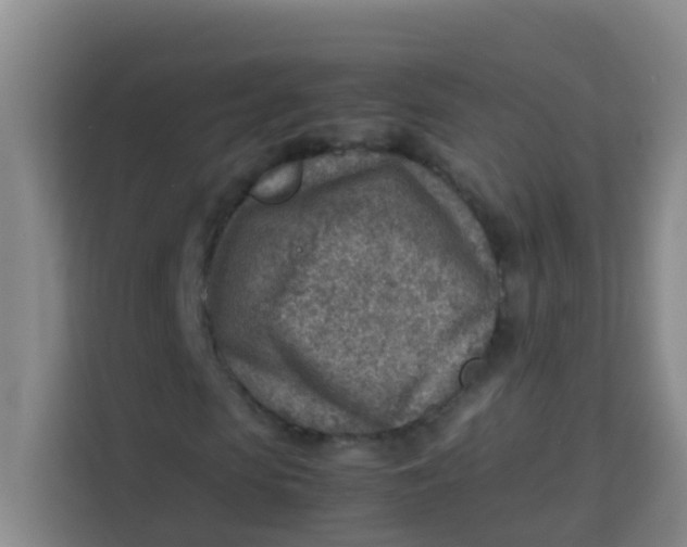 X0000113640913200910091533