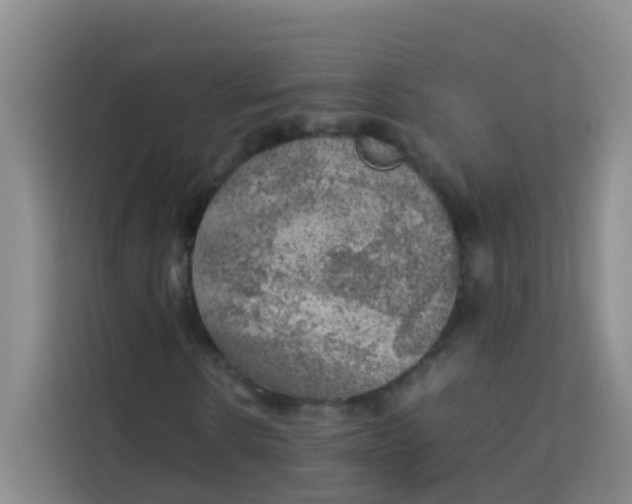 X0000113640914200910091533