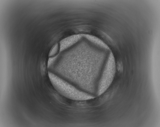 X0000113640915200910091533