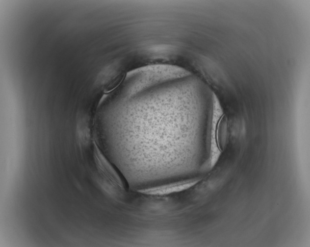 X0000113640916200910091533