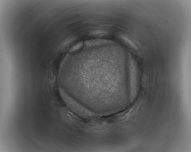 X0000113640917200910091533