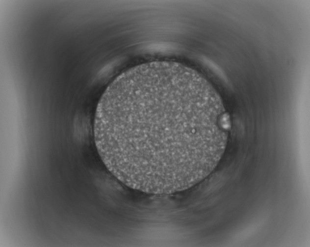 X0000113640918200910091533