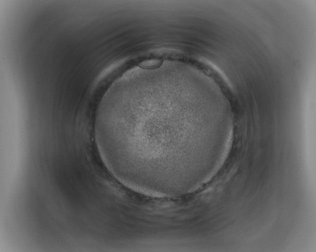 X0000113640919200910091533