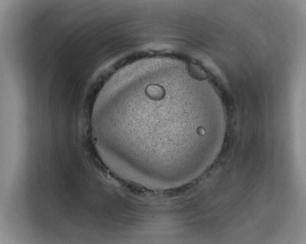 X0000113640920200910091533