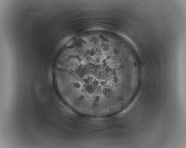 X0000113640921200910091534