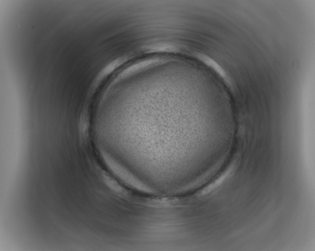 X0000113640922200910091534