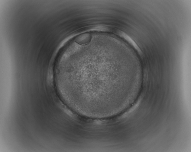 X0000113640923200910091534