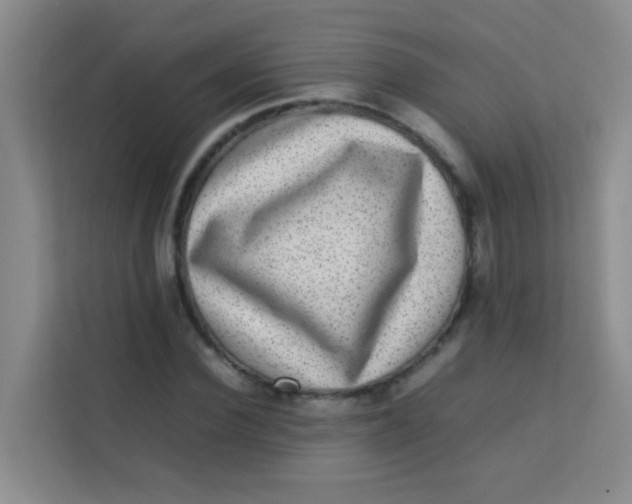 X0000113640924200910091534