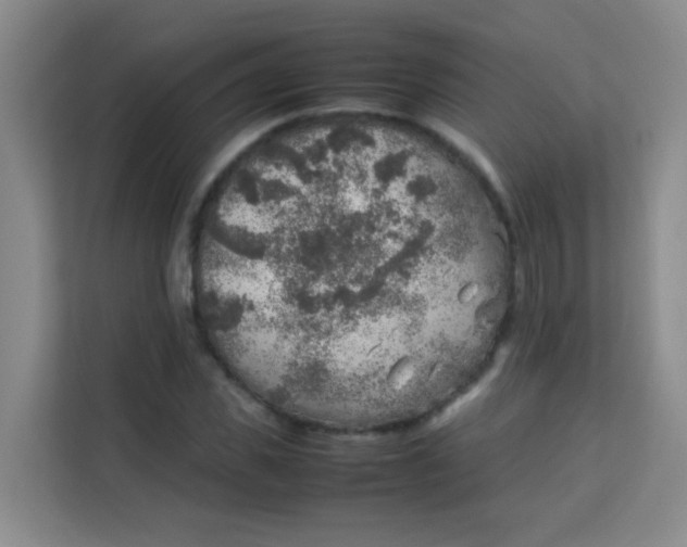 X0000113640925200910091534