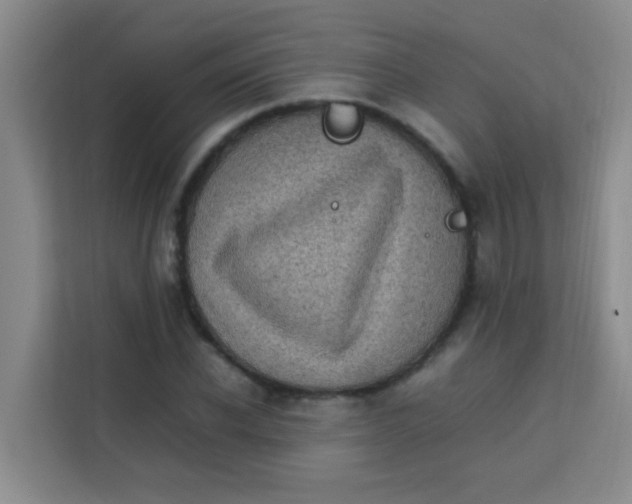 X0000113640926200910091534