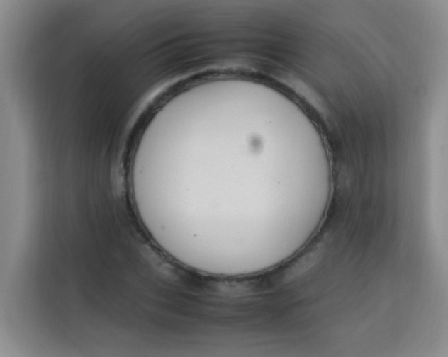 X0000113640927200910091534