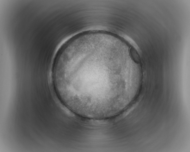 X0000113640928200910091534