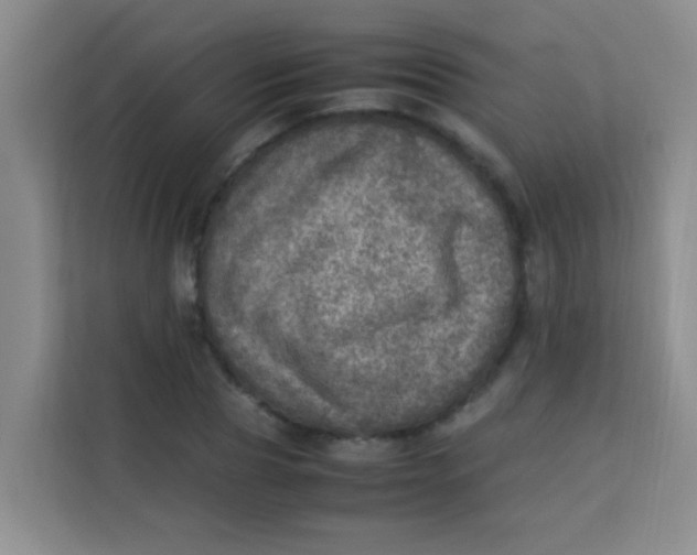 X0000113640929200910091534