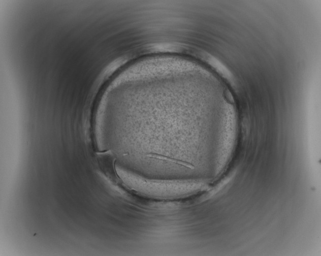 X0000113640930200910091534