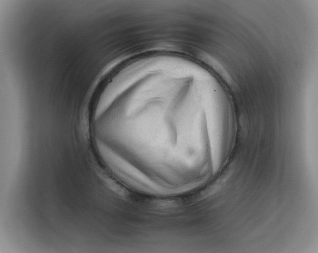 X0000113640931200910091534