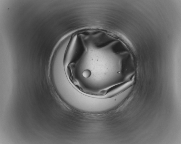 X0000113640932200910091534