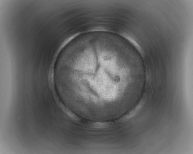 X0000113640933200910091534