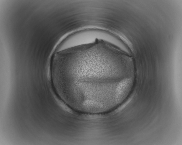 X0000113640934200910091534