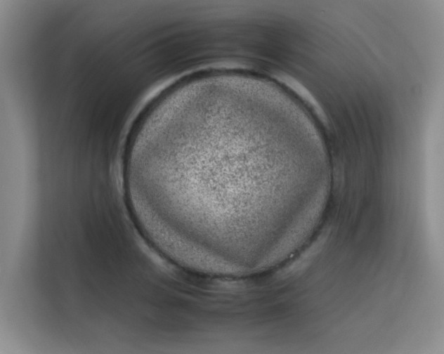 X0000113640935200910091534