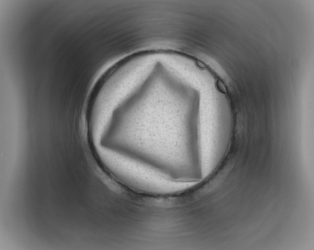 X0000113640936200910091534