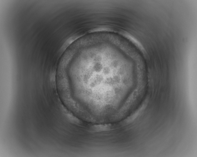 X0000113640937200910091534