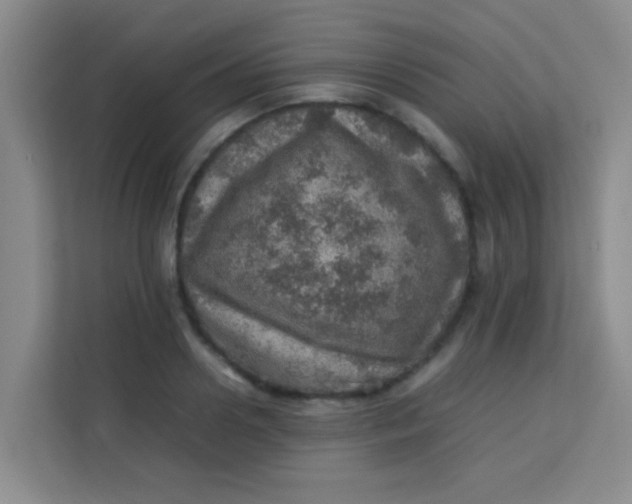 X0000113640938200910091534