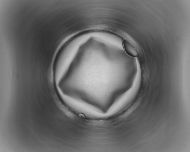 X0000113640940200910091534