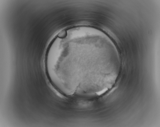 X0000113640941200910091534