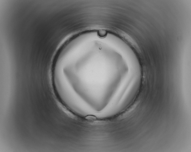 X0000113640942200910091534