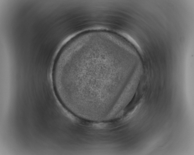 X0000113640943200910091534