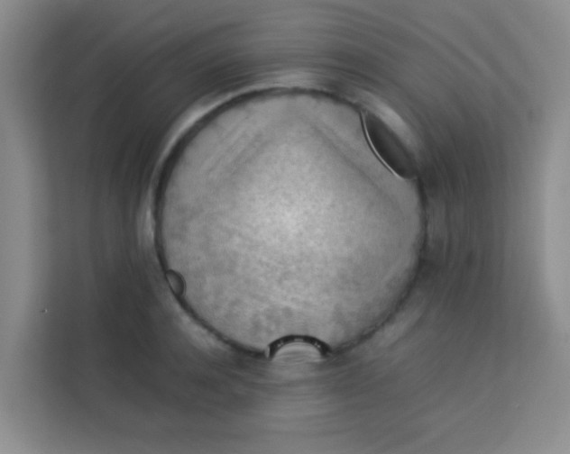 X0000113640944200910091534