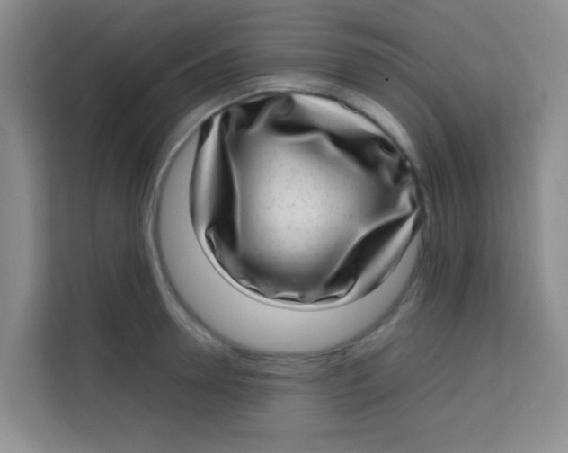 X0000113640946200910091534