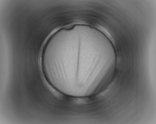 X0000113640947200910091534