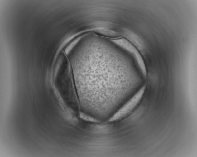 X0000113640948200910091534