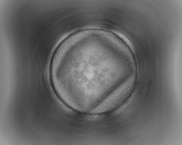 X0000113640949200910091534