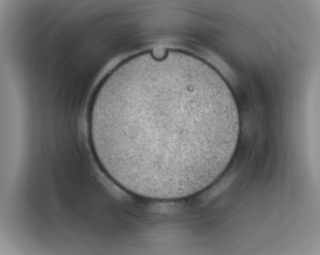 X0000113640950200910091534