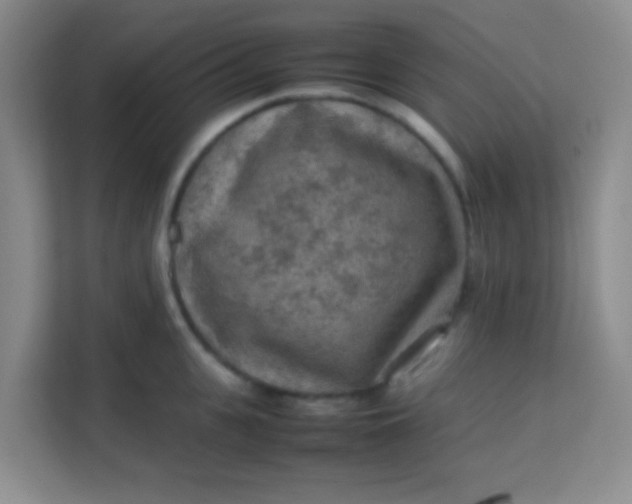 X0000113640951200910091534