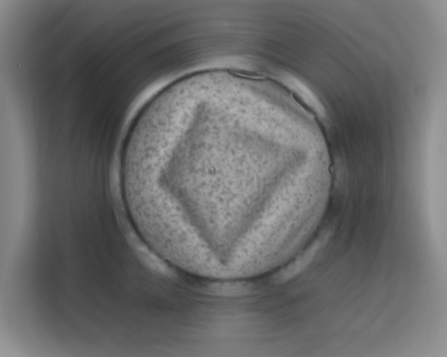 X0000113640952200910091534