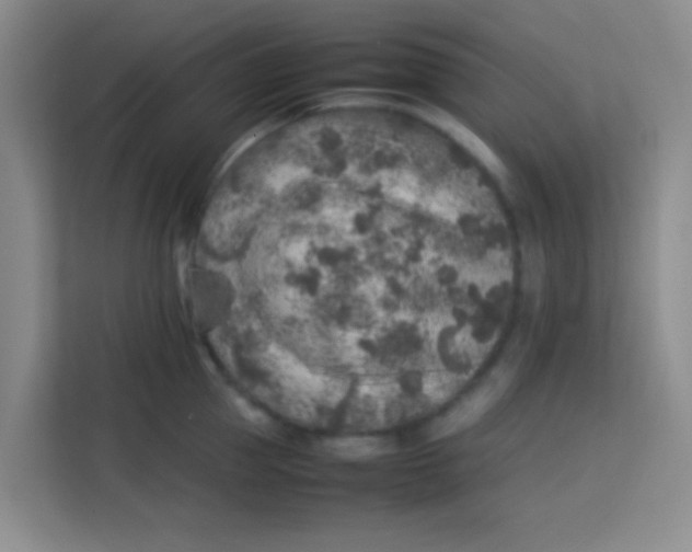 X0000113640953200910091534