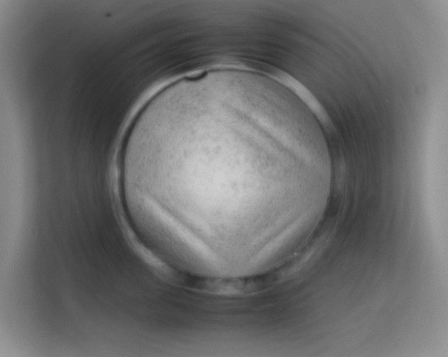 X0000113640955200910091534