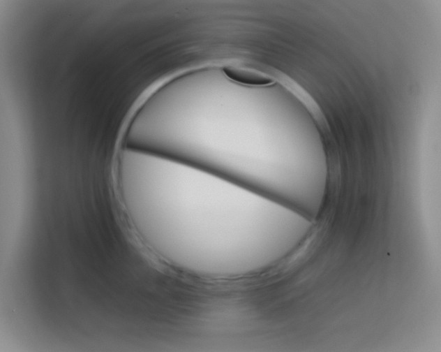 X0000113640956200910091534